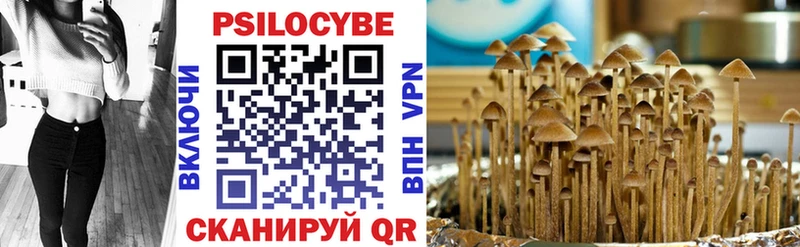 Купить где  Чудово  Галлюциногенные грибы GOLDEN TEACHER 